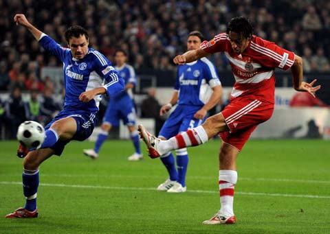 明星和公众 明星和公众